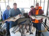 (04/20/2018) - Nice Striped Bass